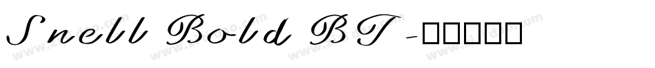 Snell Bold BT字体转换